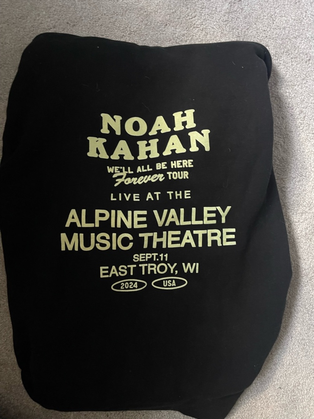 Noah Kahan limited hoodie from Alpine Valley - Picture 2 of 3